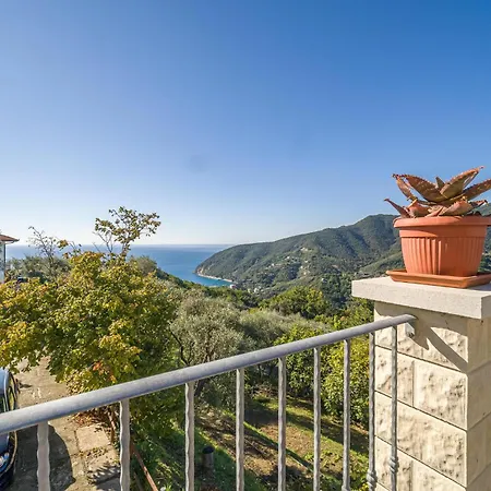 Pet Friendly In With Kitchen Moneglia